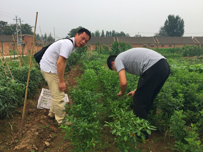好利來郭總喊您來摘菜啦！綠色無公害，放心！
