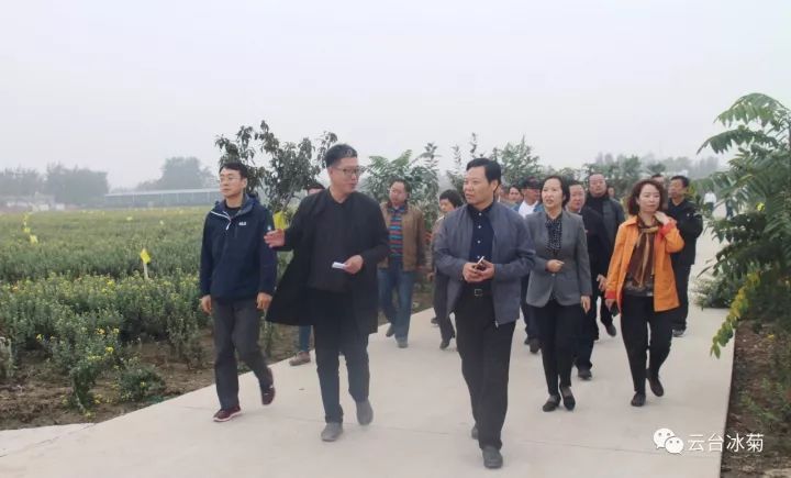 云臺冰菊基地發(fā)生了什么？一批批領導專家團隊前來！